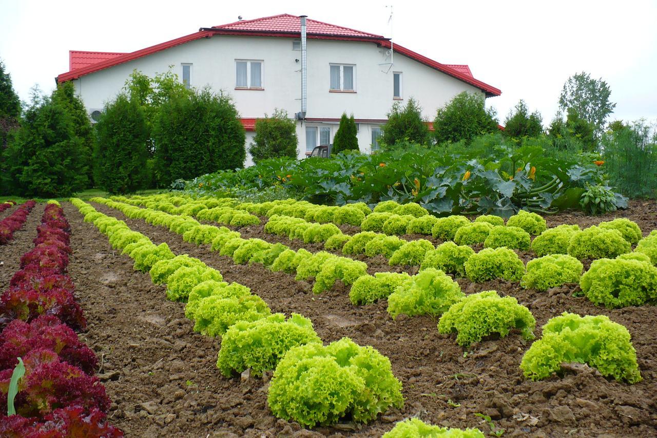 Zajazd "Marta" Hotel Krasnik Exterior photo